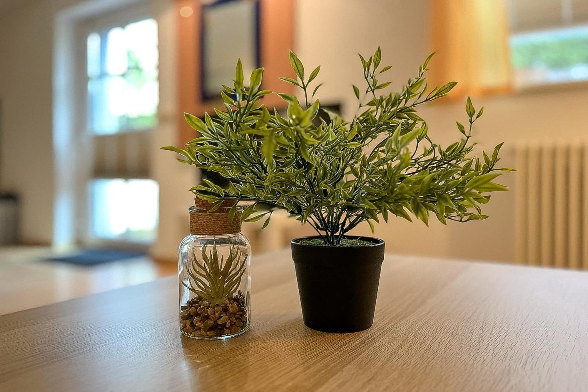 Villa Triton Souterrain Wohnung 07 ボルテンハーゲン エクステリア 写真